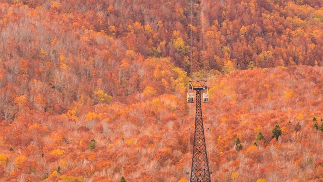 秋の八甲田ロープウェイ,  青森県 青森市