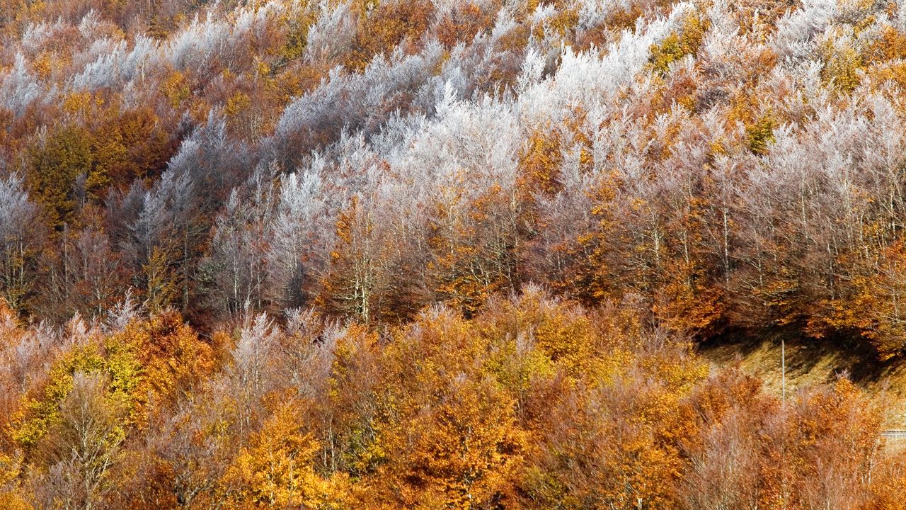 Les Cévennes entre deux saisons