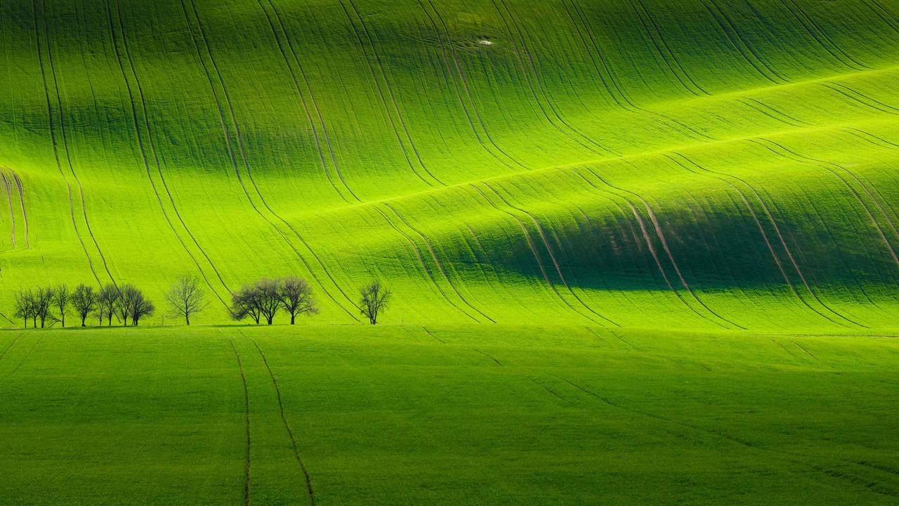South Moravian landscape near Kyjov, Czech Republic 