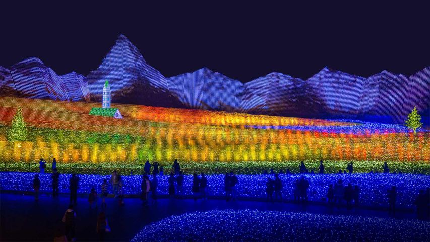 Le jardin de Nabana no Sato,  la nuit, à Kuwana, Japon