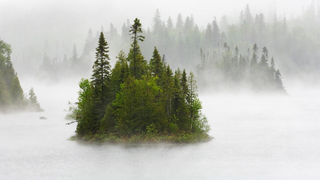 芬顿湖中雨雾缭绕的小岛,苏必利尔湖省立公园,加拿大安大略省