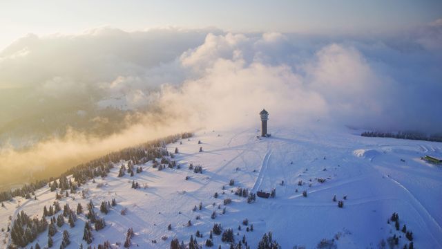 Feldberg Tower