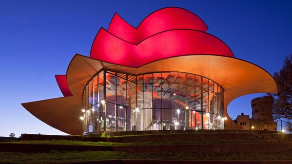 小丫头为工作的事烦