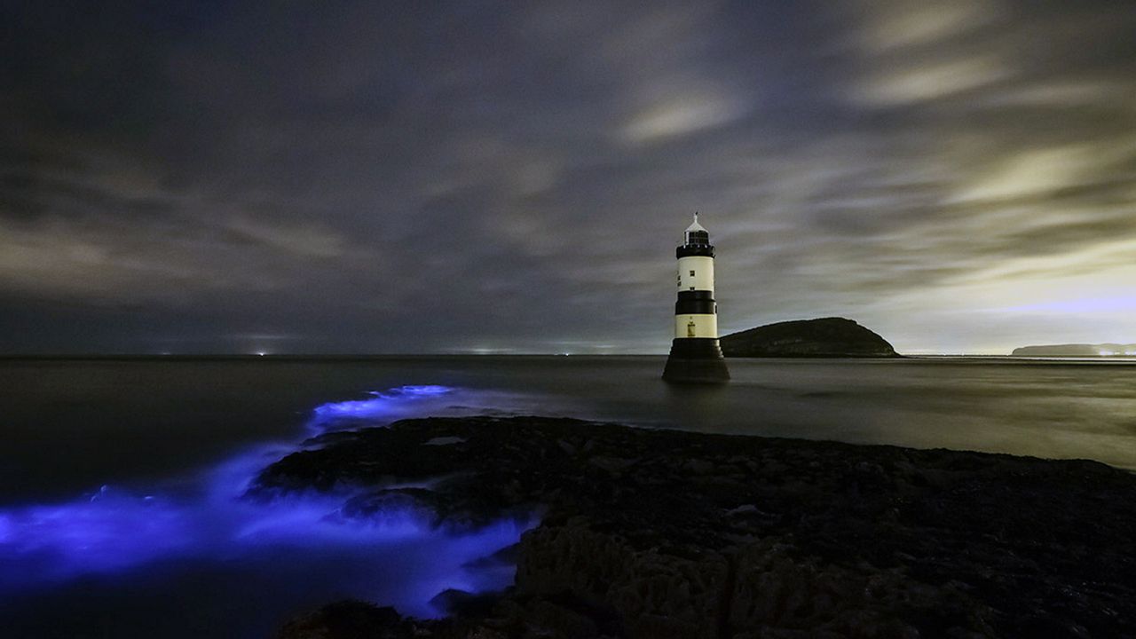 Meeresleuchten am Leuchtturm Trwyn Du auf der Insel Anglesey, Wales, Großbritannien 