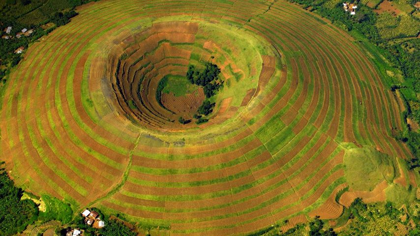 A terrace-farmed volcano near Kisoro, Uganda