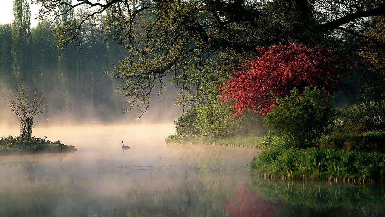 Wörlitzer Park, Sachsen-Anhalt, Deutschland