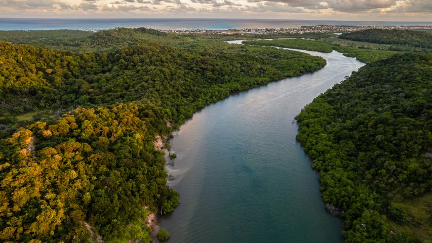 Rio da Mata Atlântica em Pernambuco