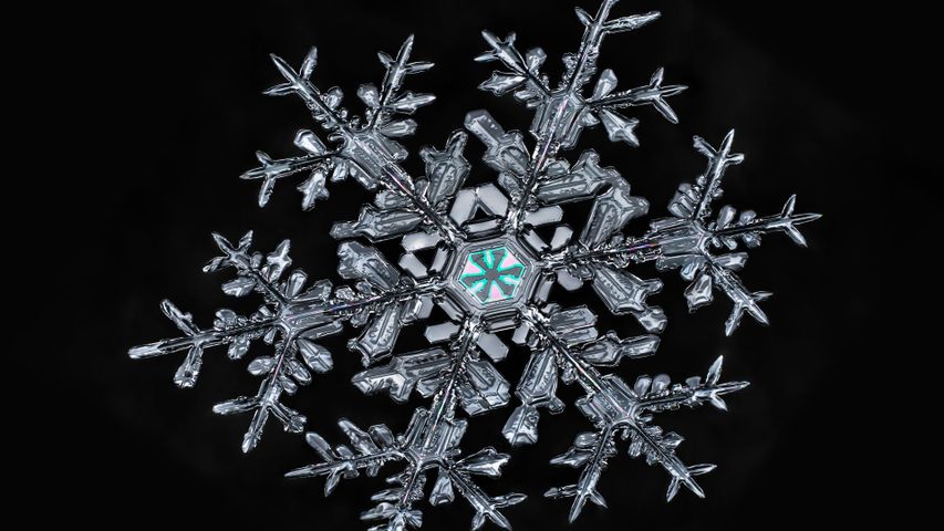 A snowflake 