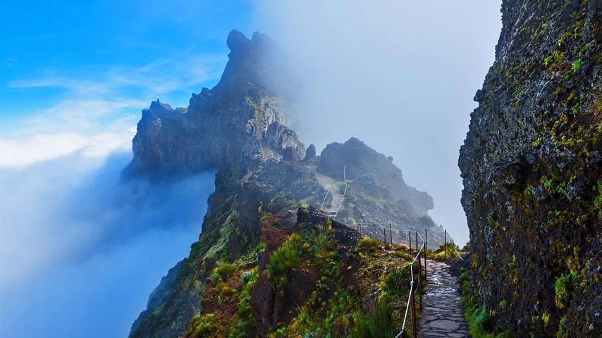 Gebirgspfad auf Madeira, Portugal 