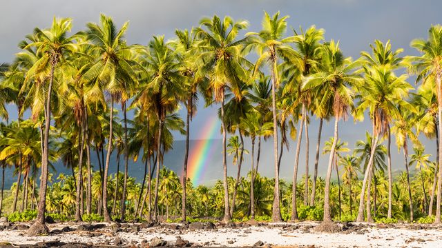 Parc national de Honaunau, Grande Île, Hawaii