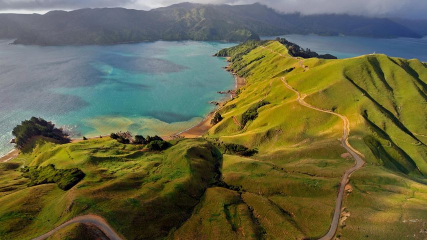 Luftbild der Marlborough Sounds, Neuseeland