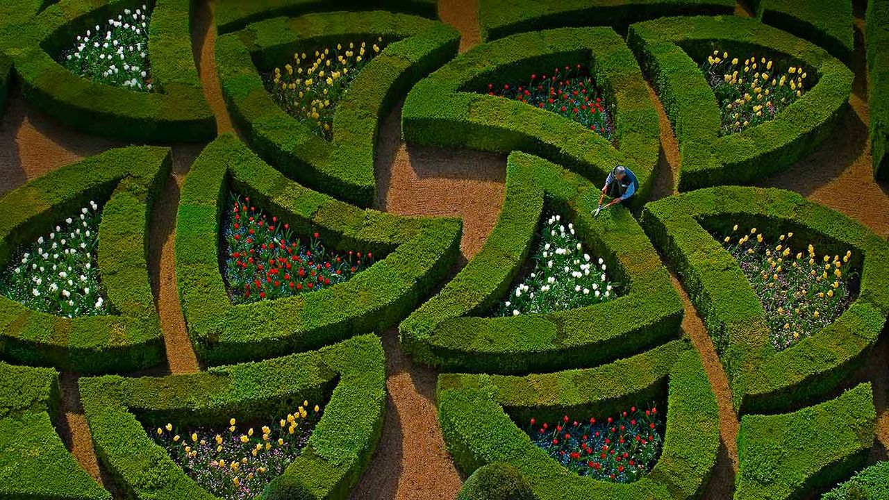 Gardens at Château de Villandry, Loire Valley, France