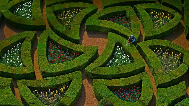 Gärten im Schloss Villandry, Loiretal, Frankreich