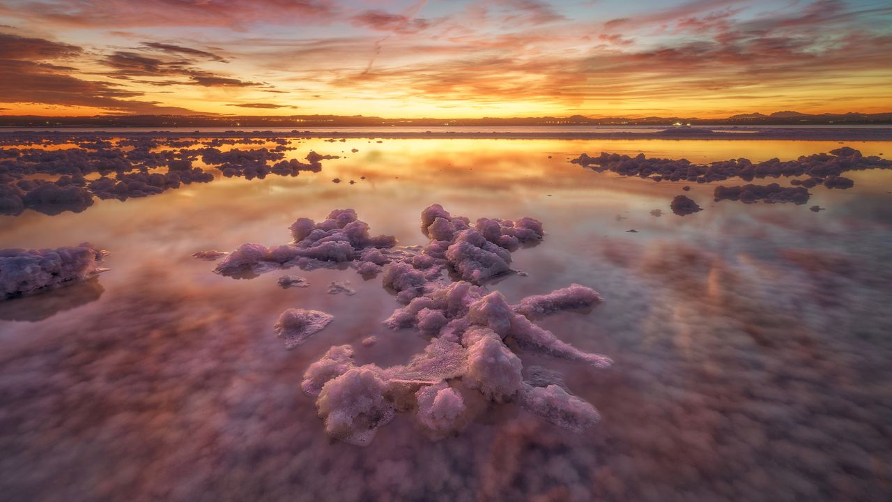 Pink salt formations sunset lagoon