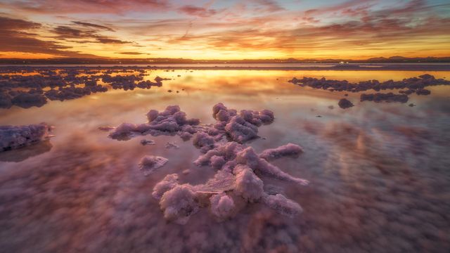The blushing lagoon