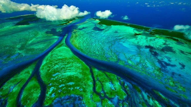 Atoll d’Aldabra, Seychelles