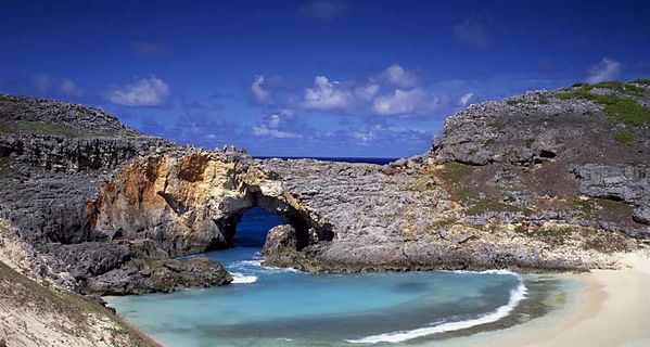 去阿菲那里吃了顿