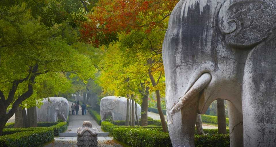 Stone Statue Road elephants at Ming Xiaoling Mausoleum, Zijin Shan, Nanjing, Jiangsu, China