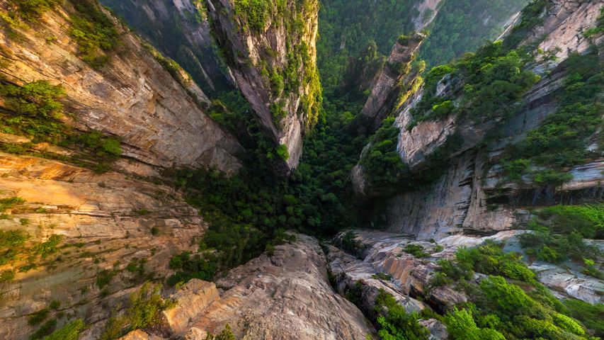 „Avatar-Berge“, Zhangjiajie National Forest Park, China