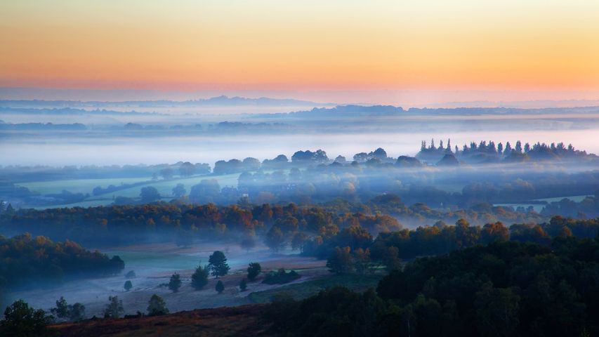 Misty sunrise in Ashdown Forest, East Sussex