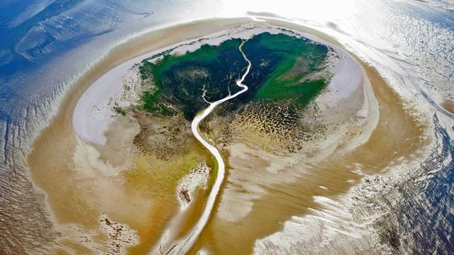 Zuiderduintjes in the West Frisian Islands, Netherlands 
