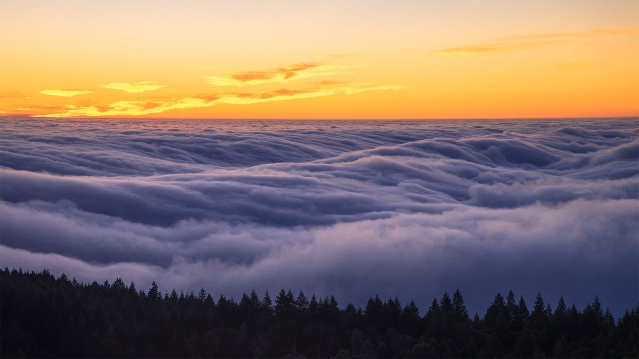 ｢タマルパイス山の霧｣米国カリフォルニア州 
