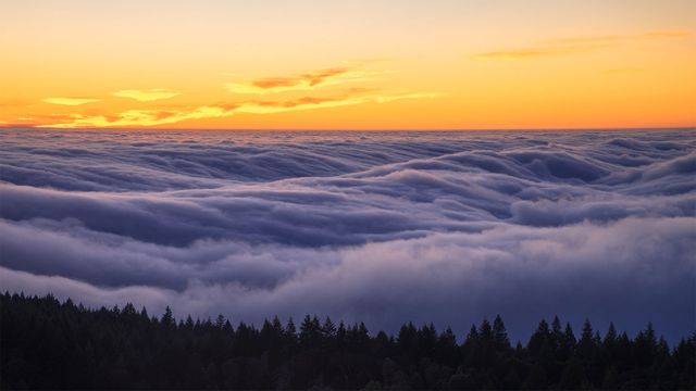 ｢タマルパイス山の霧｣米国カリフォルニア州 