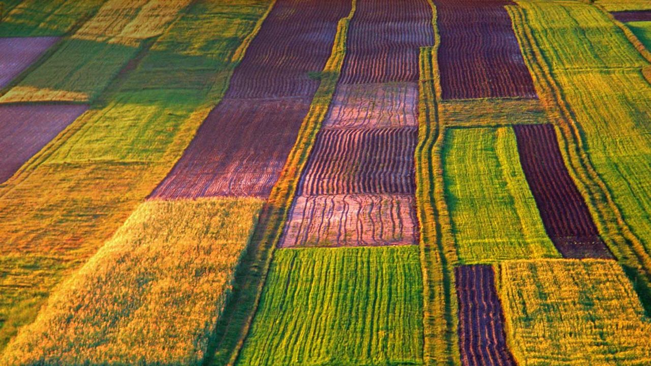 ｢ロストチェの田園地帯｣ポーランド