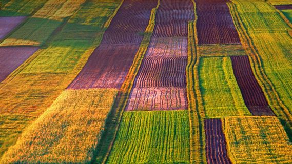 可以暂时不用Tor了