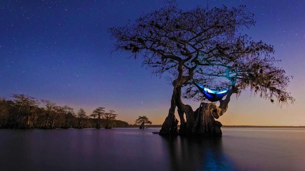 Hammock camping in an old growth cypress tree 