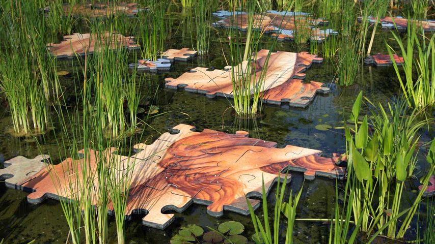 Pièces de puzzle dans un bassin, festival international des jardins de Chaumont-sur-Loire, Loir-et-Cher 