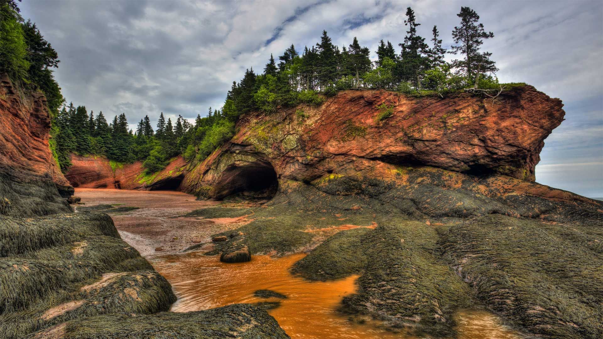 Caves and coastal features at low tide on the Bay of Fundy, near