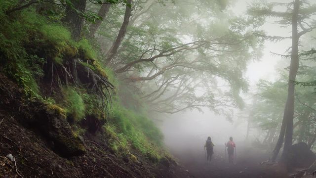 Auf dem Yoshida-Wanderweg am Berg Fuji, Japan