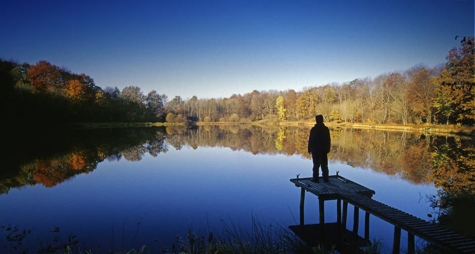 Ein Angler genießt die herbstliche Stimmung am Windsborner Kratersee bei Bettenfeld in der Eifel, Rheinland-Pfalz – Heinz Wohner / LOOK-foto ©