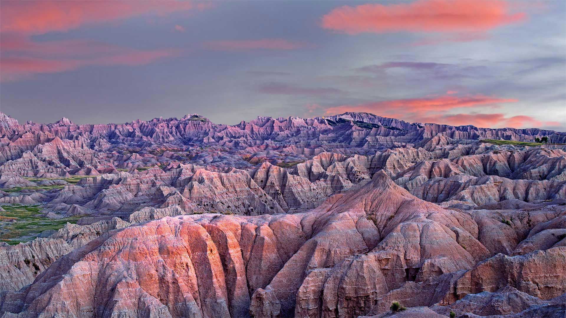 are dogs allowed badlands national park