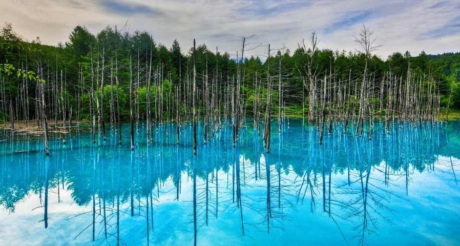 ｢青い池｣北海道, 白金温泉