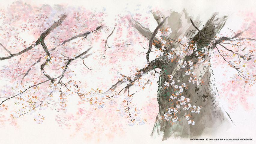 Studio Ghibli Cartoon Free Wallpapers