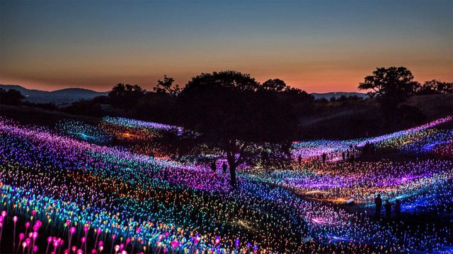 'Field of Light at Sensorio,' by Bruce Munro, Paso Robles, California