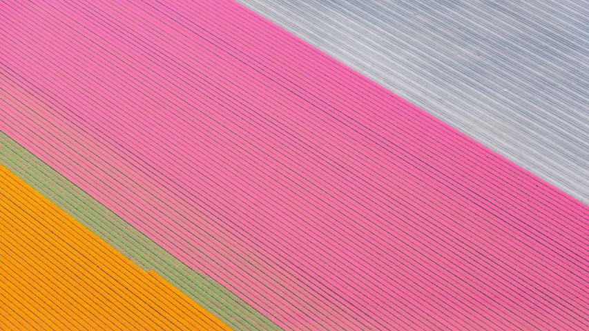 Aerial Farmland PREMIUM 4K Windows 10 Theme
