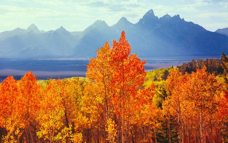 Autumn Colors Windows 10 Theme | Free Wallpaper Themes