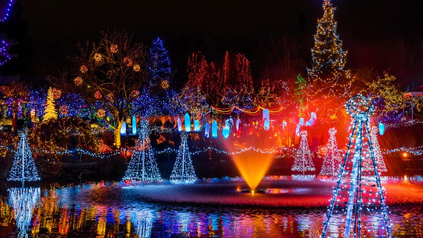 Festival of Lights, VanDusen Botanical Garden, Vancouver