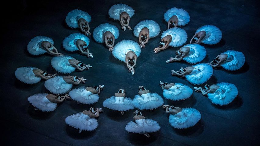 Répétition du Lac des Cygnes par le Ballet national Tchèque à Prague, République Tchèque, le 25 mars 2019