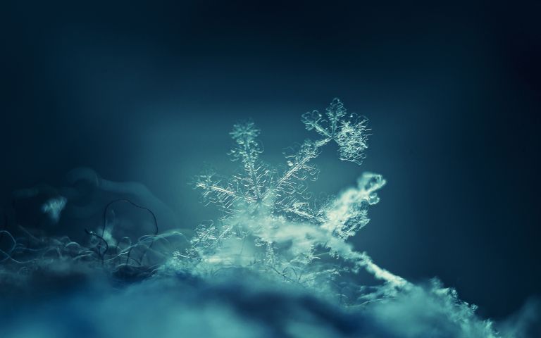 Frosty Art Windows 10 Theme