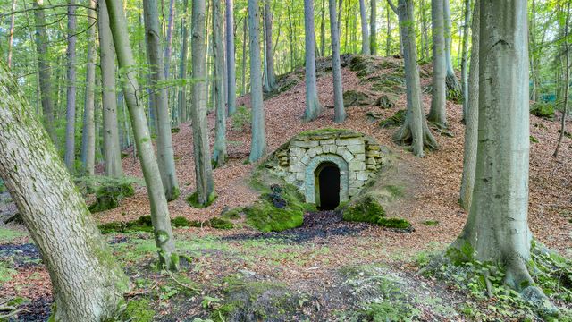 Bavarian Forest wine cellar, Germany