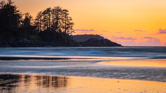 Réserve de parc national Pacific Rim, Île de Vancouver, Canada