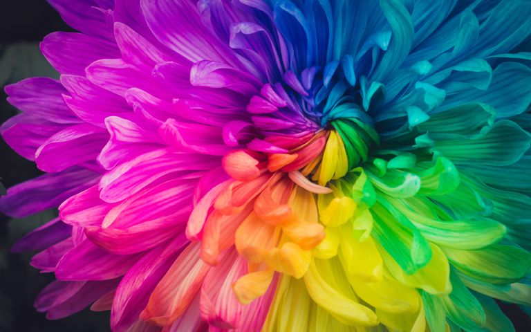 Colors of the Rainbow Theme for Windows 10