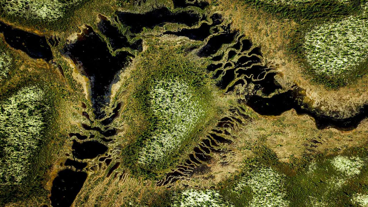 Boreal forest at Trans-Taiga Road region in Northern Quebec