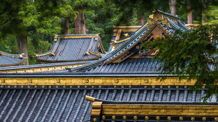 日光東照宮, 栃木県 日光市