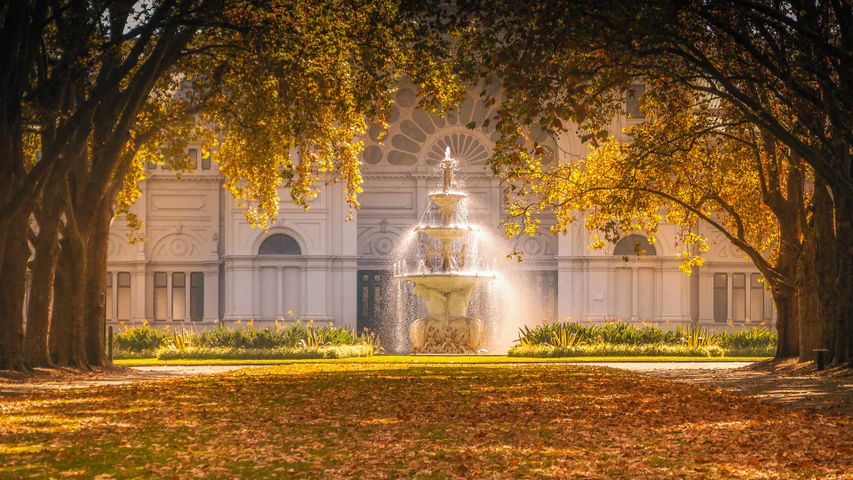 Carlton Gardens fountain and autumn trees catching the sunlight in front of the Royal Exhibition Building, Melbourne