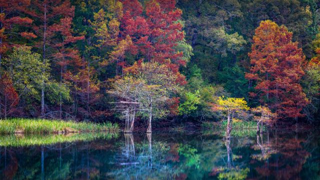 Beavers Bend Resort Park near Broken Bow, Oklahoma